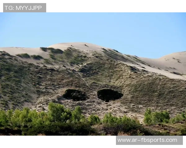 全球百大女足球星盘点与她们的传奇故事