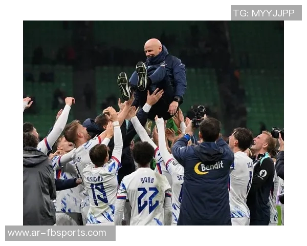 挪威足球明星球员实力排名一览及个人成就分析